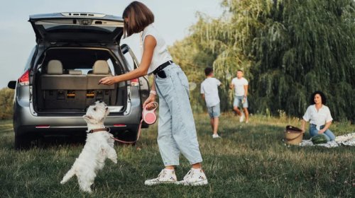5 Of The Most-Driven Family Vehicles In 2026, According To iSeeCars