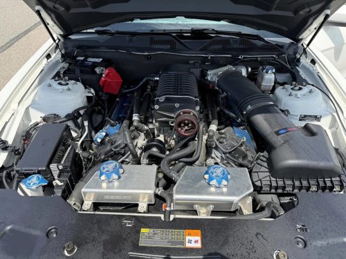 Ford, Ford Mustang, 2011 Ford Mustang Shelby GT350 45th Anniversary Edition For Sale With 13,000 Miles