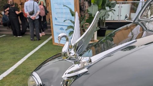 What's Your Favorite Hood Ornament?