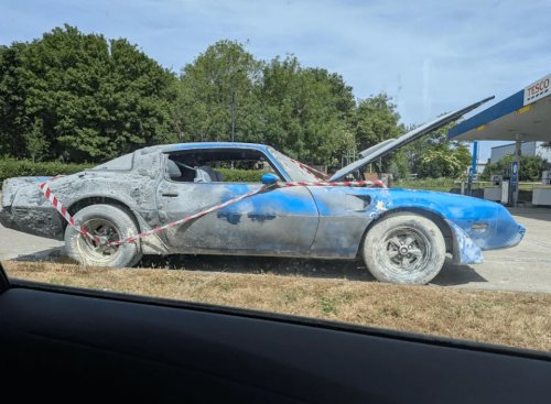 15 Photos Where Someone Has a Very Pricey Problem