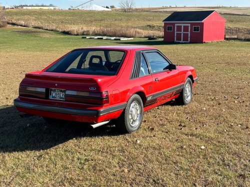 Ford, Ford Mustang GT, Ford GT, 1985 Ford Mustang GT 5.0 Twister II for Sale With 97k Miles Shown