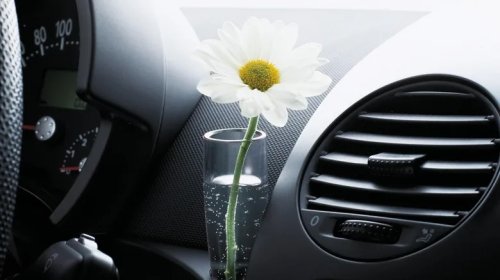 Volkswagen, Volkswagen Beetle, The Volkswagen Beetle Once Came With A Feature That No Other Car Had