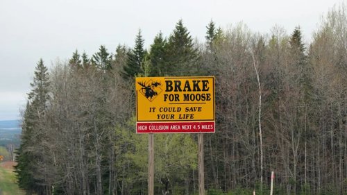 Ford, Ford F-250, Ford F-250 Buyer Legally Can’t Take His Truck Home Because Of A Robin