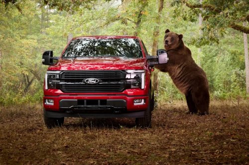 Ford, Ford F-150, An 800-Pound Kodiak Bear Tested Ford F-150's Security Package By Shaking the Truck and Breaking In