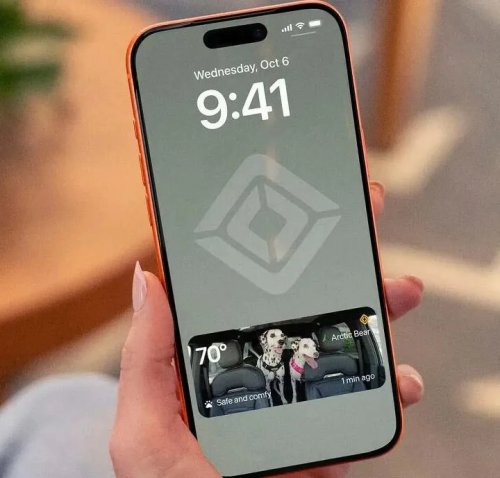 Rivian's New 'Pet Cam' Lets You Watch Your Dog From Your Phone
