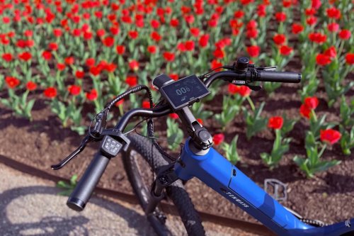 I rode this powerful ebike for hours and my butt wasn’t mad at it