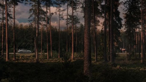Volvo's New OTA Update Will Warn You About Dangers You Can't See