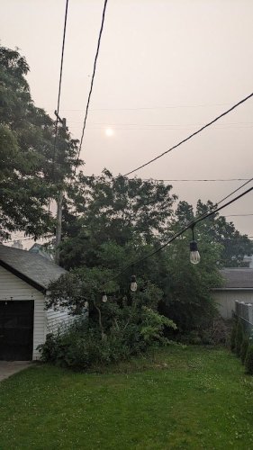 Fight Forest Fires With Heat Pumps