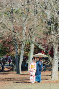 山本陸斗