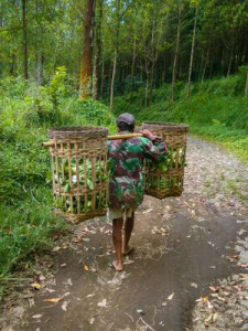 Rian Yulianto