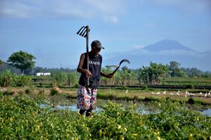 Heri Santoso