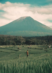 Rizky Kusuma