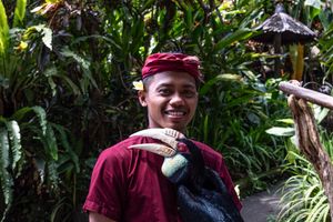Bayu Nugroho