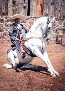 Diego Cortés