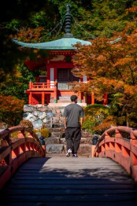 橋本颯真