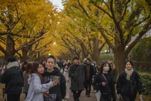 山口陸斗