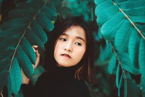 Dini Susanto