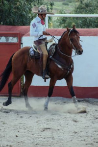 Carlos Santos