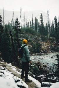Jackson Bouchard