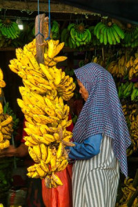 Lestari Syahputra