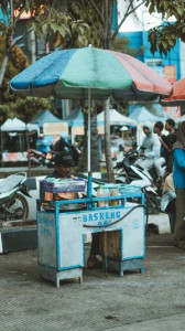 Bayu Satria