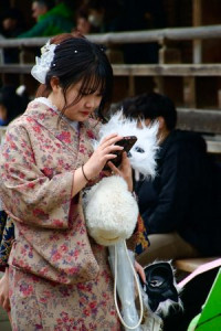 青木麻衣