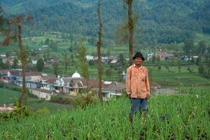 Hendra Utama
