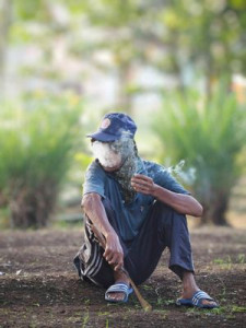 Arif Hardian
