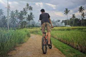 Iwan Halim