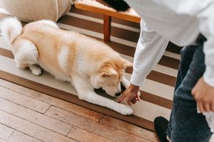 村上一樹