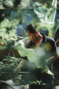 Dimas Syahputra