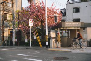 岡田涼