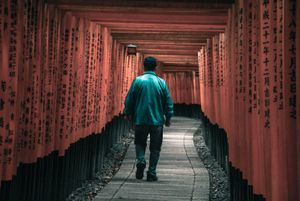山口陽向